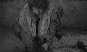 Bela-Tarr-Satantango-Cat