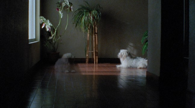 Still from Volume 2: The Desolate One, The Owners of Dixie